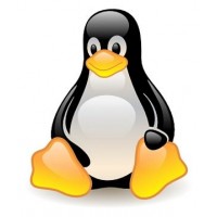 WH Plan 100MB - Linux