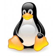 WH Plan 1GB - Linux